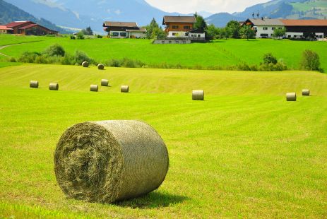 Austria field hay wallpaper